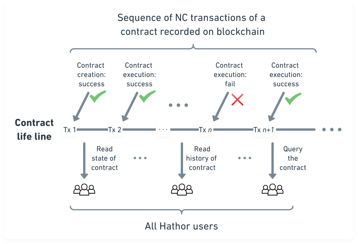 Life cycle of a nano contract